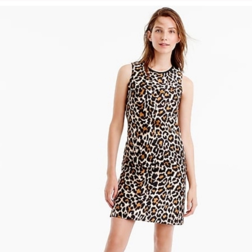 J Crew Leopard A Line Shift Dress 12